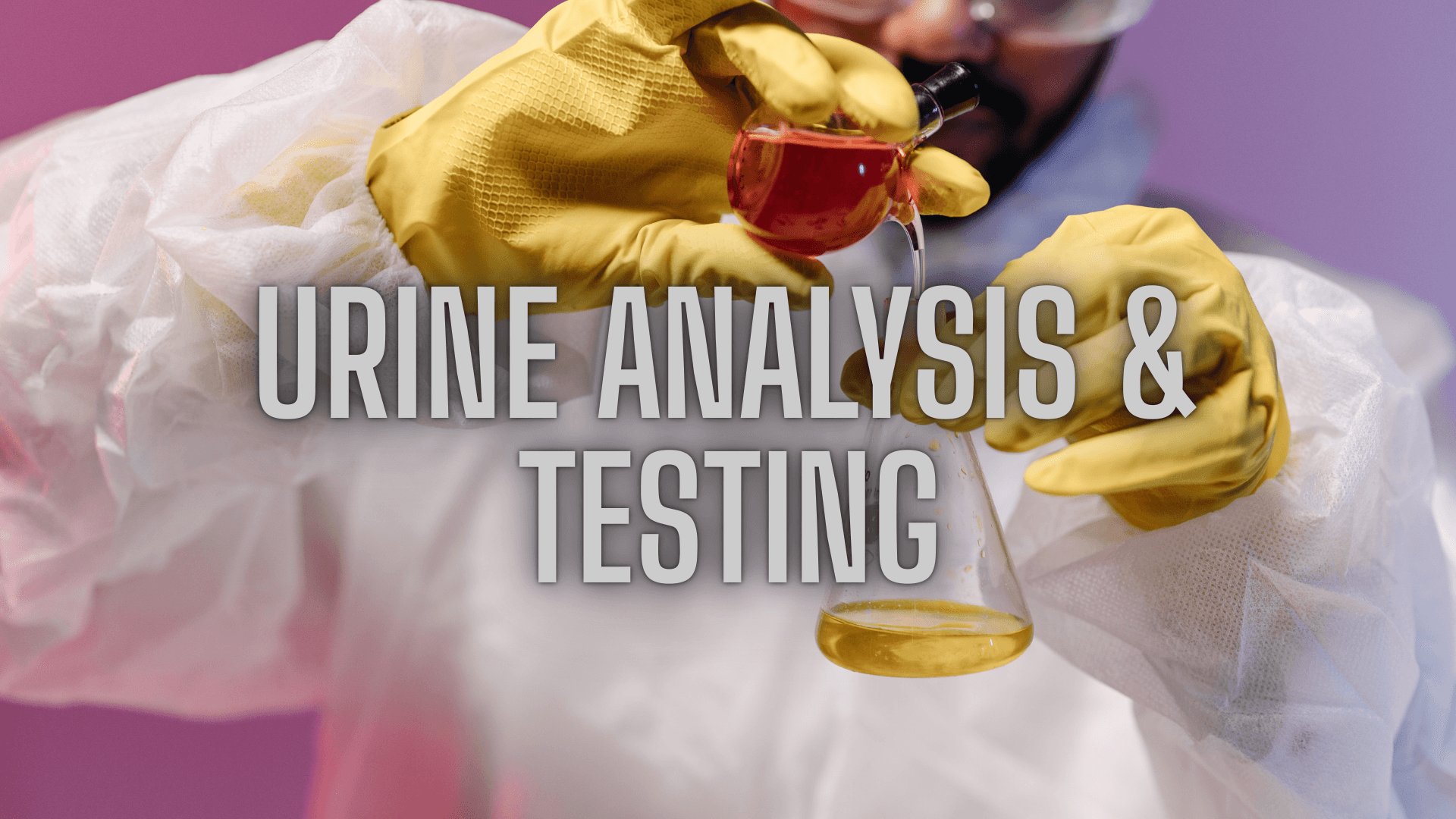 Urine Analysis & Testing